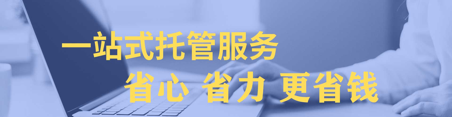 林园sem专员